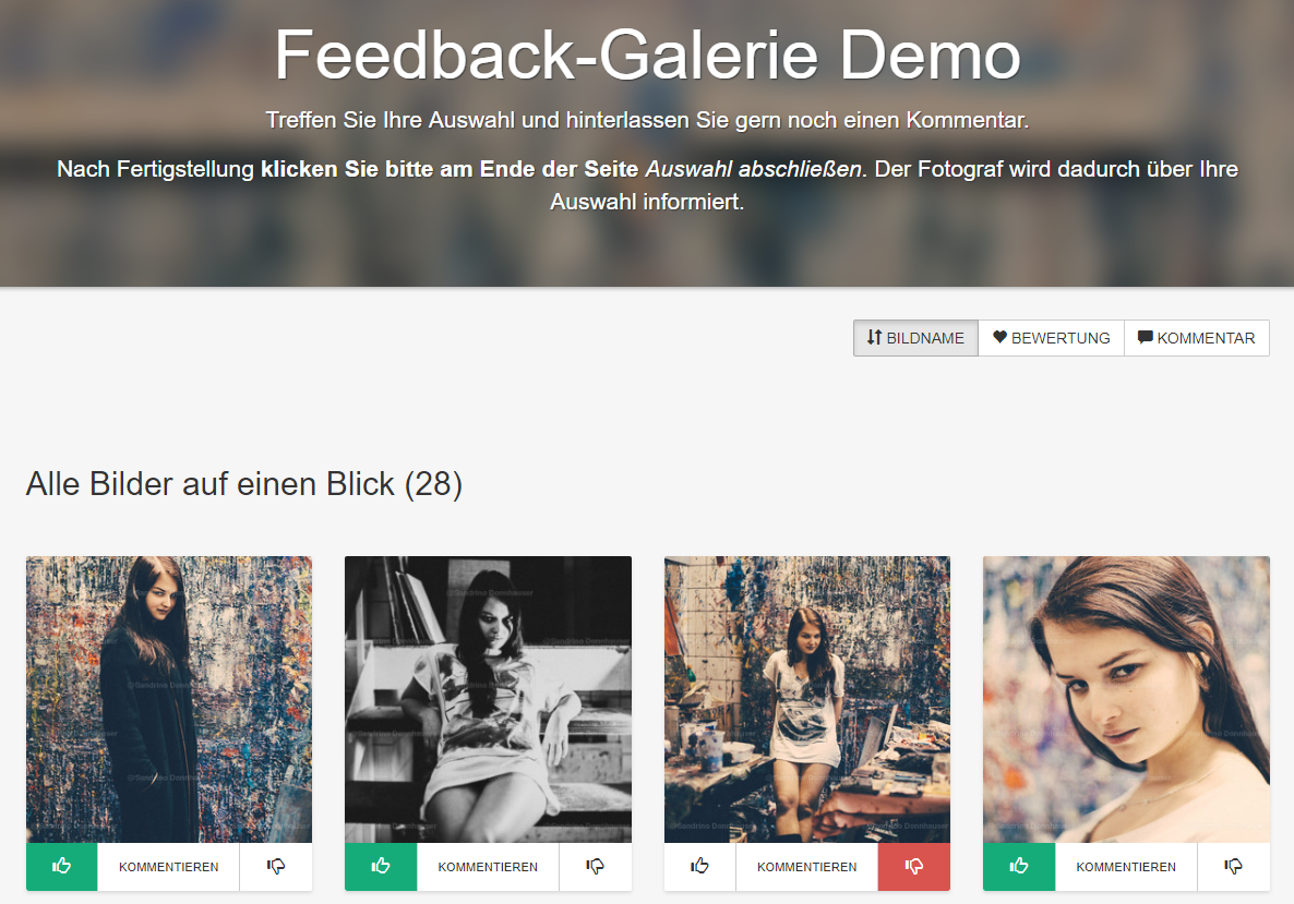 Feedback-Galerie Demo Feedback-Galerie Demo